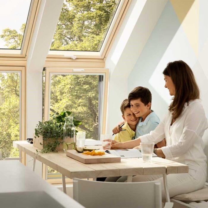 VFE 3070  Element vertical - imagine 4