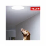 Tunel solar VELUX montat în tavan, luminând natural o încăpere; câine privind către sursa de lumină.